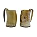 Rainbow Game of Thrones Animal Wine Beer Beaker Stein Tankard Genuine Handcrafted Authentic Medieval Drinking Horn Mug Glass 5 Inch (Set of 2)