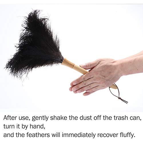 Feather Duster, Ostrich Feather Duster Fluffy Natural Genuine Ostrich