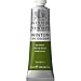Winsor & Newton Winton Oil Color, 37ml (1.25-oz) Tube, Sap Green