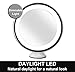 Fancii Daylight LED 10X Magnifying Makeup Mirror - 8.0