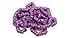 General 100pcs8mm Bird Foot Ring for 2020 Racing Pigeon Rings Pigeon Leg Bands Multicolor (Purple)