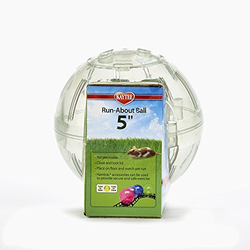 4 Kaytee+Hamster+Run+About+5+Inch+Exercise