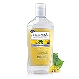 Dickinsons Original Witch Hazel Pore Perfecting Toner 16 oz