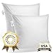 Set of Two 22X22 Decorative Throw Pillow Insert, Down and Feathers Fill, 100% Cotton Cover 233 Thread Count, Square Pillow Insert - Made in USA