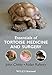 Essentials of Tortoise Medicine and Surgery by John Chitty, Aidan Raftery