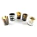 Buddha4all Viking Drinking Horn Ale Tankard With Free Horn Shot Glass (20 oz)