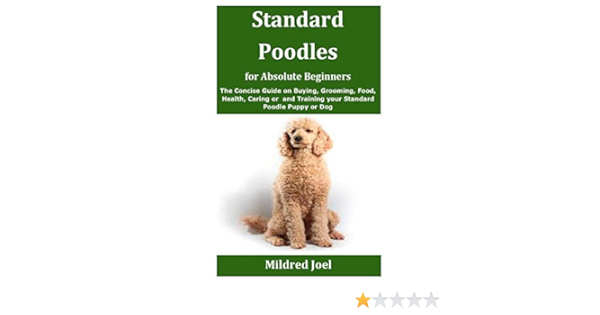 buying a standard poodle
