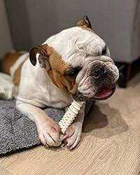 Nylabone Power Chew Dog Toy Chicken X-Large/Souper