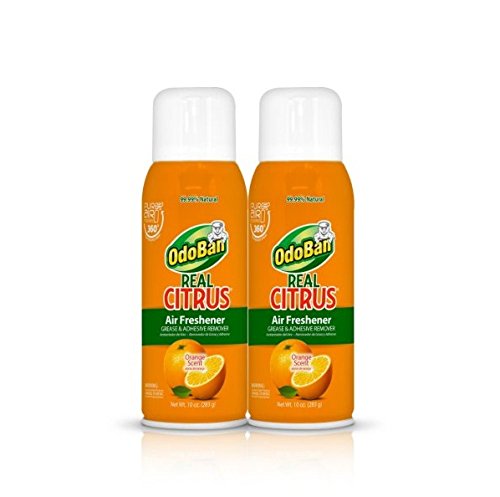 OdoBanReal Citrus Air Freshener, Orange (10oz, 2