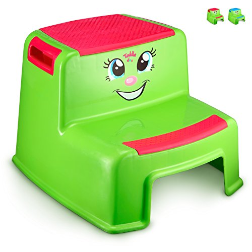 dual step stool