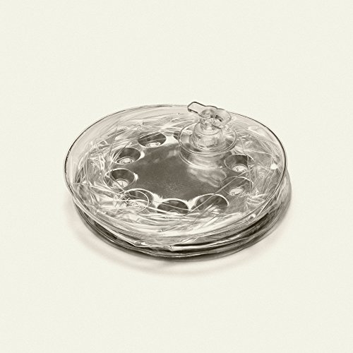 Tools & Home Improvement, Lighting & Ceiling Fans, Outdoor Lighting, Tabletop Lighting, Lanterns