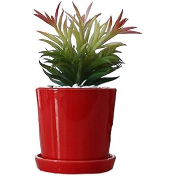 Better-way Orchids Pots with Holes Modern Decorative Ceramic Flower Plant Pot with Saucer Home Office Desk Mini Succulent Cactus Container Indoor Decoration (4 inch, Red)