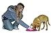 Company of Animals Nina Ottosson Dog Spinny Interactive Plastic Toy