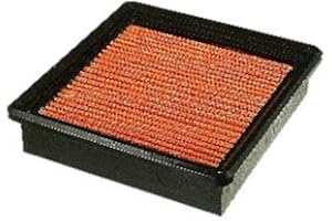 FRAM PPA3915 Air Hog Panel Filter