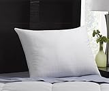 Exquisite Hotel Plush Down-Alternative Gel-Fiber Filled Hypoallergenic Pillow with a 100% Cotton Shell, Windowpane Pattern, and SOFT Density, Standard Size