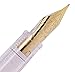 Asvine Yongsheng Clear Classical Fountain Pen Fine Nib Arrow Clip, Piston Filling System, Gold Trim, Set of 4 Pieces in transparent Color