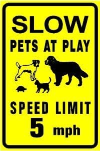 SLOW PETS AT PLAY dog cat turtle animal sign