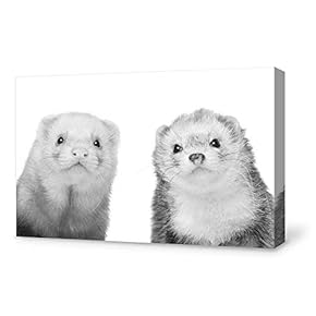 Canvas Wall Art Canvas Painting Wall Poster Decor for Living Room Framed Home Decorations - 12x18 inches