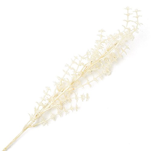 Factory Direct Craft Ivory Iridescent Twig Branches for Indoor Decorating - 12 Stems