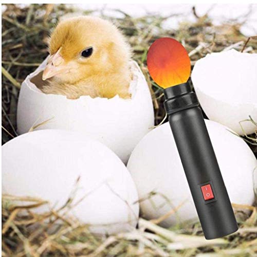 Ei Candler Licht Led-Ei-Tester Wiederaufladbare Ei Schierlampe Für Alle Arten Egg – Bild 5
