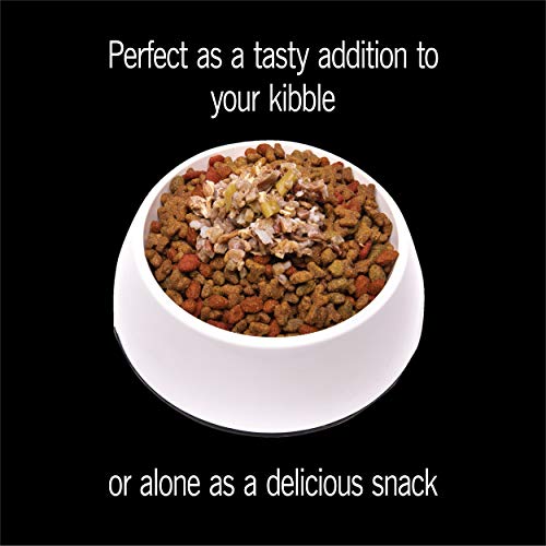 CESAR Simply Crafted Adult Wet Dog Food Meal Topper Variety Pack