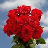 GlobalRose 100 Red Roses- Next Day Delivery- Fresh Cut Flowers