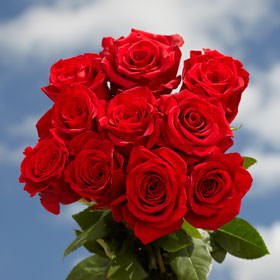 GlobalRose 100 Fresh Cut Red Roses Long Stem - Perfect for Birthday, Anniversary or any occasion.