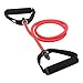 REEHUT Single Resistance Band Exercise Tube with Handle, Door Anchor and Manual, for Resistance Training, Physical Therapy, Home Workouts, Fitness, Pilates, Boxing Strength Training - Red