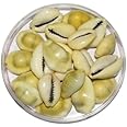 SynSpiritStore Original Yellow Cowdi/Cowrie/Cowry/Kouri/Kaudi/Kori Shells | Monetaria Monta Shells | for Laxmi and Diwali Pooja Article | Set of 51 | 3/4 Inch ~ 1-1/2 Inch