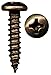 Platte River 946245, Fasteners, Wood Screws, #6 X 5/8" Pn-P2 Screws Statuary Bronze, 100 Each