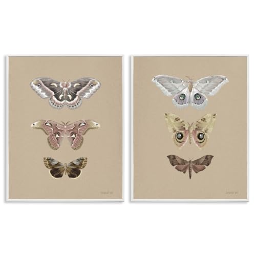 Stupell Industries Forest Beauty Insects 2 Piece White Framed Giclee Art Set, d…