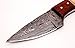 SharpWorld Beautiful Damascus Knife Made Of Remarkable Damascus Steel and Exotic Handle -Best Hunting Knife With Leather Sheath TJ101 (Camel Bone and Wood)