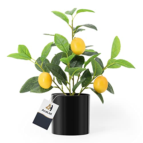 Artificial Mini Lemon Tree Potted Plants, 14.6 Inches Realistic Fake Plant Lemon Decor for Kitchen, Indoor, Living Room, Bedroom, Windows, Office or Balcony-Black at Amazon