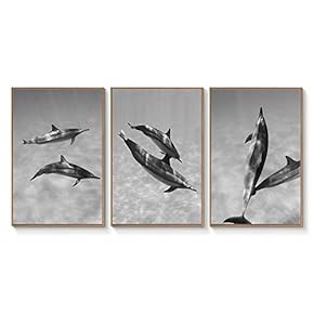 Floating Framed Canvas Wall Art for Living Room, Bedroom Black and White Landscape Canvas Prints for Home Decoration Ready to Hang - 16"x24"x3 Panels