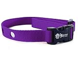 Extreme Dog Fence Dog Collar Replacement Strap - Purple - Compatible with Nearly All Brands and Models of Underground Dog Fences