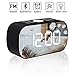 AMZLIFE Alarm Clock Radio with Wireless Bluetooth Speaker FM Radio Night Light 5