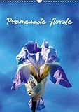 Promenade florale 2019: Des fleurs, tout au long de l'annee. (Calvendo Nature) (French Edition) by 