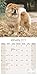Chow Chow Calendar - Dog Breed Calendars - 2018 - 2019 Wall Calendars - 16 Month by Avonside