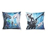 GodVshop How to Train Your Dragon Throw Pillow Covers Soft Plush Set of 2 Decorative Square Pillowcase Cushion Cover for Sofa Bedroom Car (18