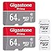 Gigastone 64GB 2-Pack Micro SD Card with Adapter, U1 C10 Class 10, Full HD available, Micro SDXC UHS-I Memory Card primary