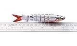 CampFENSE Fishing Lure Bait, 8-segment, 3D Eyes, Extra-Large, Tackle 6# High Carbon Steel Anchor Hook 4 Color Options 5.23Inch/0.67Oz
