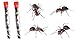 Nature Gift Store 2 Tubes Live Ant Farm Ants, Book and 10oz Ant Refill Sand-Bundle
