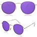 SOJOS Small Round Polarized Sunglasses for Women Men Classic Vintage Retro Frame UV Protection SJ1014 with Gold Frame/Purple Mirrored Lens