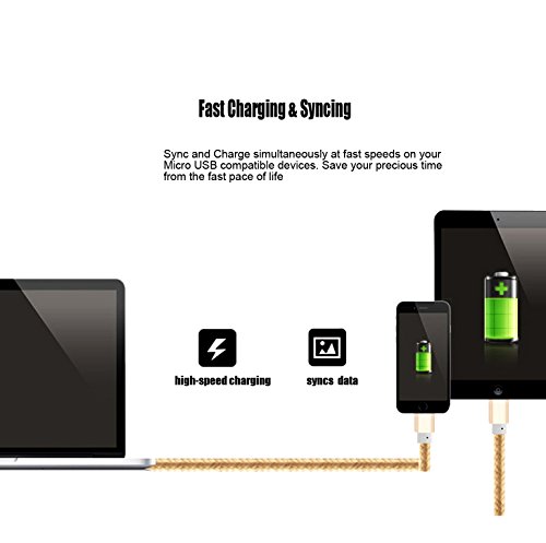 5 PowerLine+iBarbe+Reversible+Micro+USB+MicroUSB