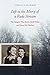 Left to the Mercy of a Rude Stream: The Bargain That Broke Adolf Hitler and Saved My Mother by Stanley A. Goldman