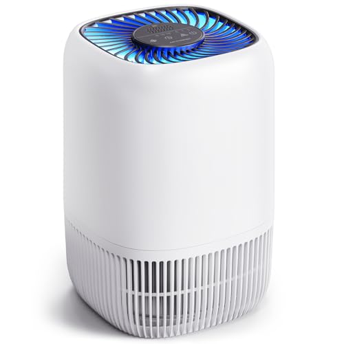 VOOPNU DH-JH12 Air Purifier