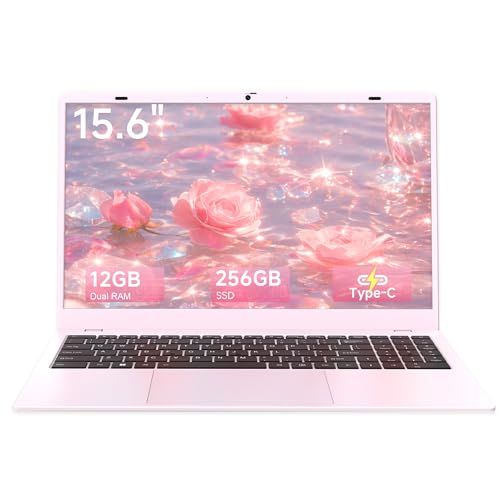 EvoSpan 15.6 Inch Laptop