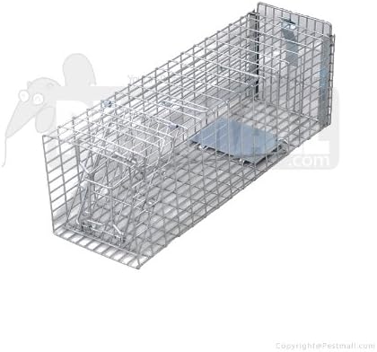 Live Animal Trap (Squirrels, Chipmunks and Rats) - Small- 2 Traps