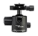 Induro Tripods BHL2S Ball Head (Black)