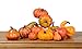 Ten Waterloo Artificial Gourds and Pumpkins- Fall Bowl Filler